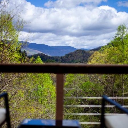 Family Cabin Near Smoky Mtn Entrance Nantahala Robbinsville Bagian luar foto