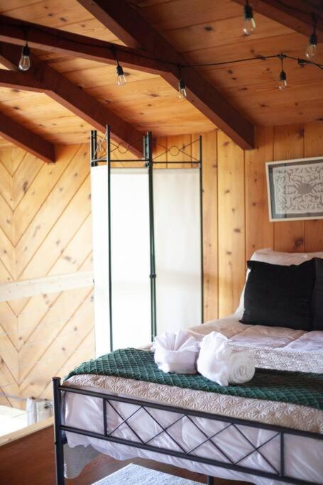 Family Cabin Near Smoky Mtn Entrance Nantahala Robbinsville Bagian luar foto